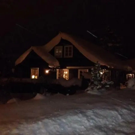 Geilolie 50 * Geilo