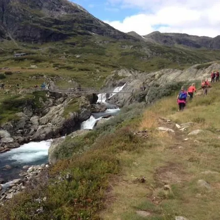 Geilolie 50 Daire Geilo