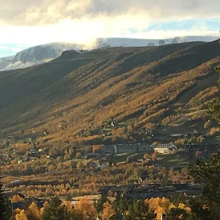 Geilolie 50 * Geilo